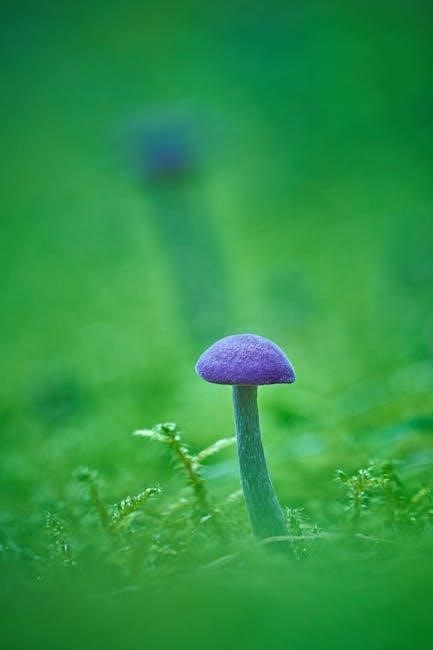 iowa mushroom guide iowa mushroom guide