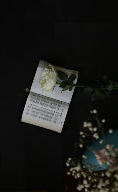 the good and beautiful bible study pdf the good and beautiful bible study pdf